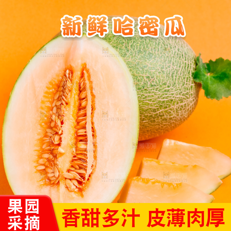 浅底上放着新疆哈密瓜