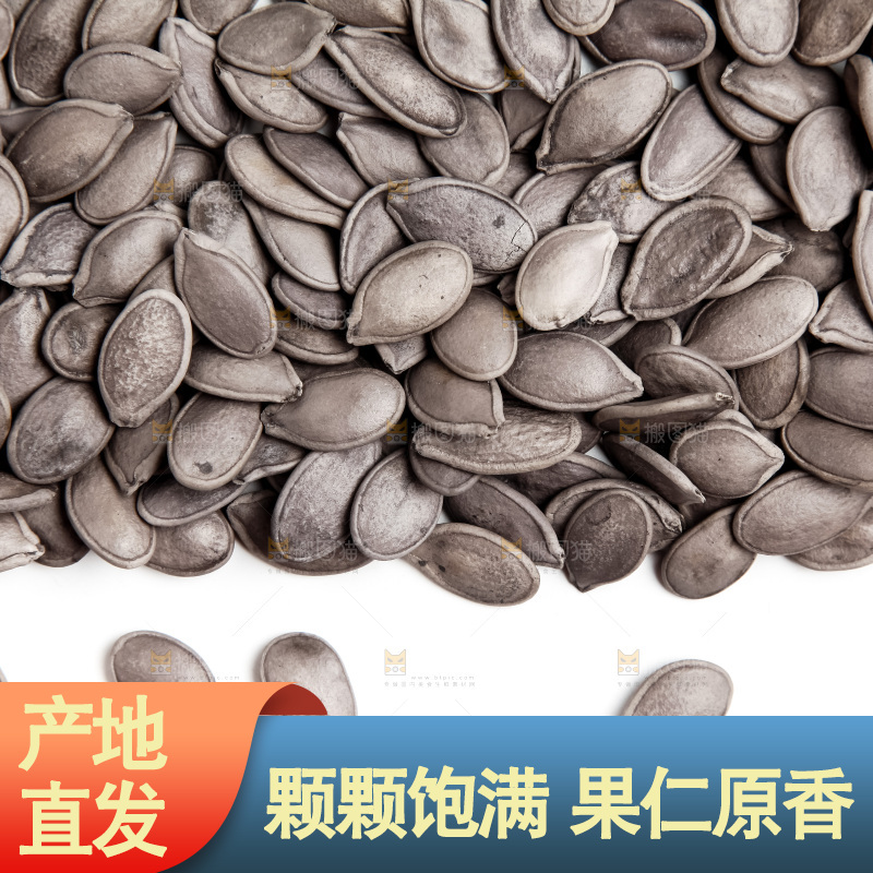 黑南瓜子放在白底上