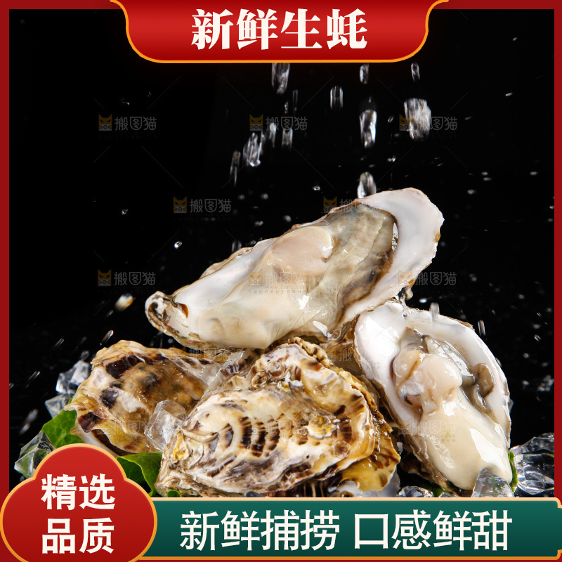 黑底上放着生蚝
