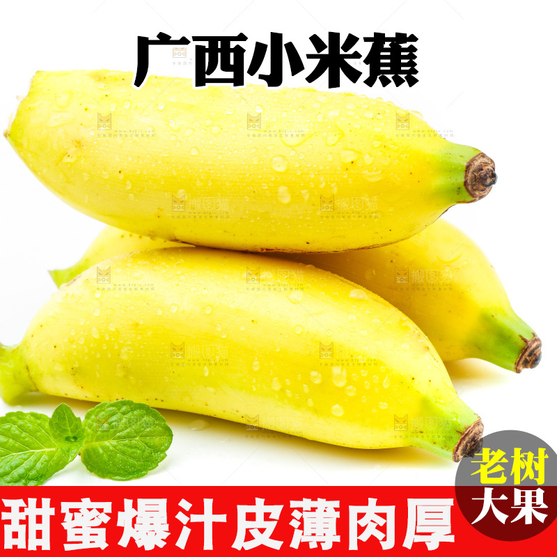 白底上放着新鲜小米蕉