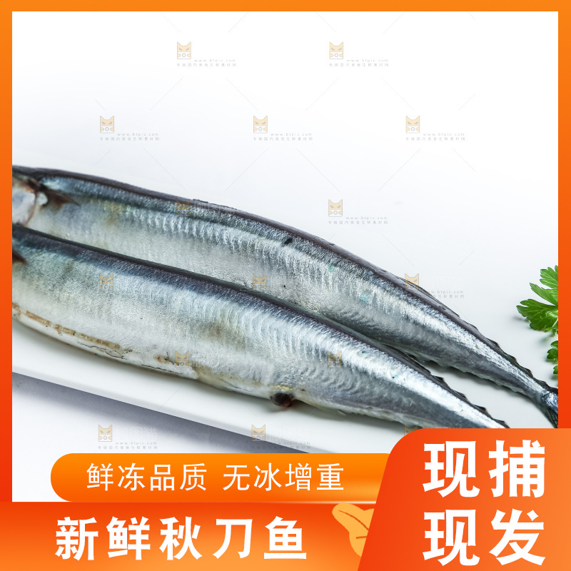 白底上放着一盘秋刀鱼