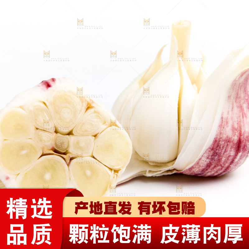 白底上的大蒜