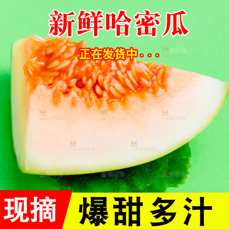 浅底上的哈密瓜