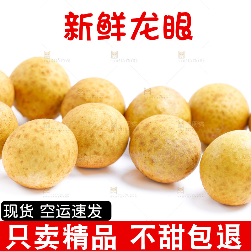 白底上的龙眼