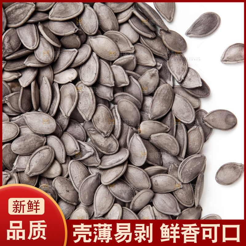 黑南瓜子放在白底上