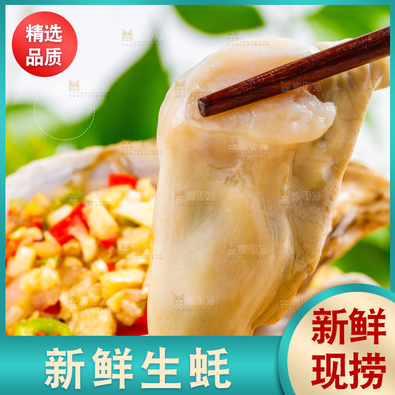筷子夹着乳山生蚝