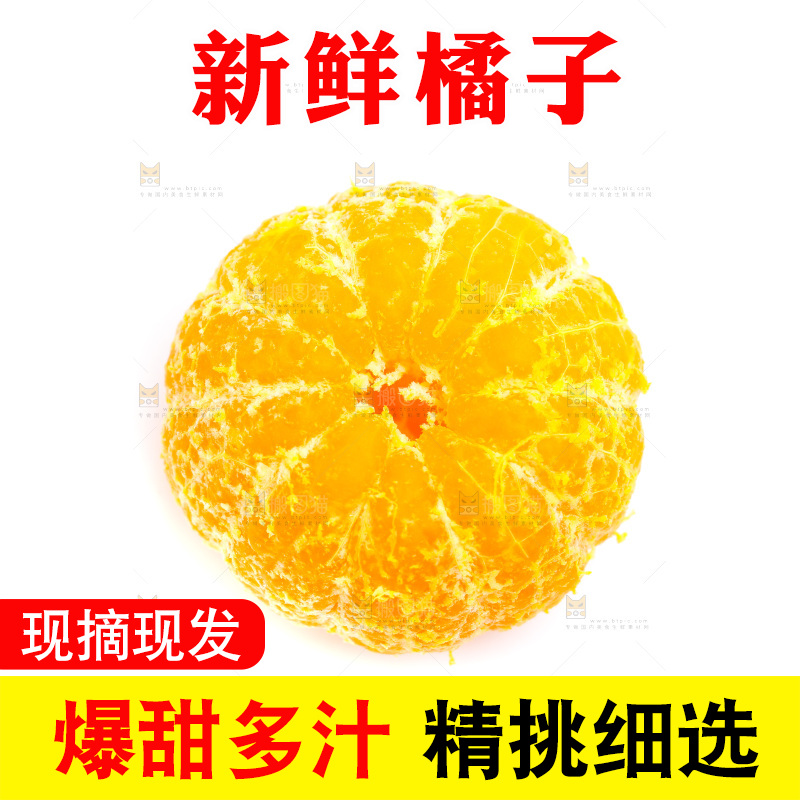 新鲜橘子放在白底上