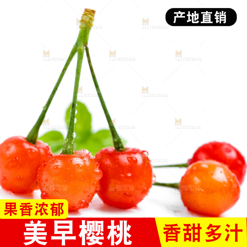 白底上的樱桃