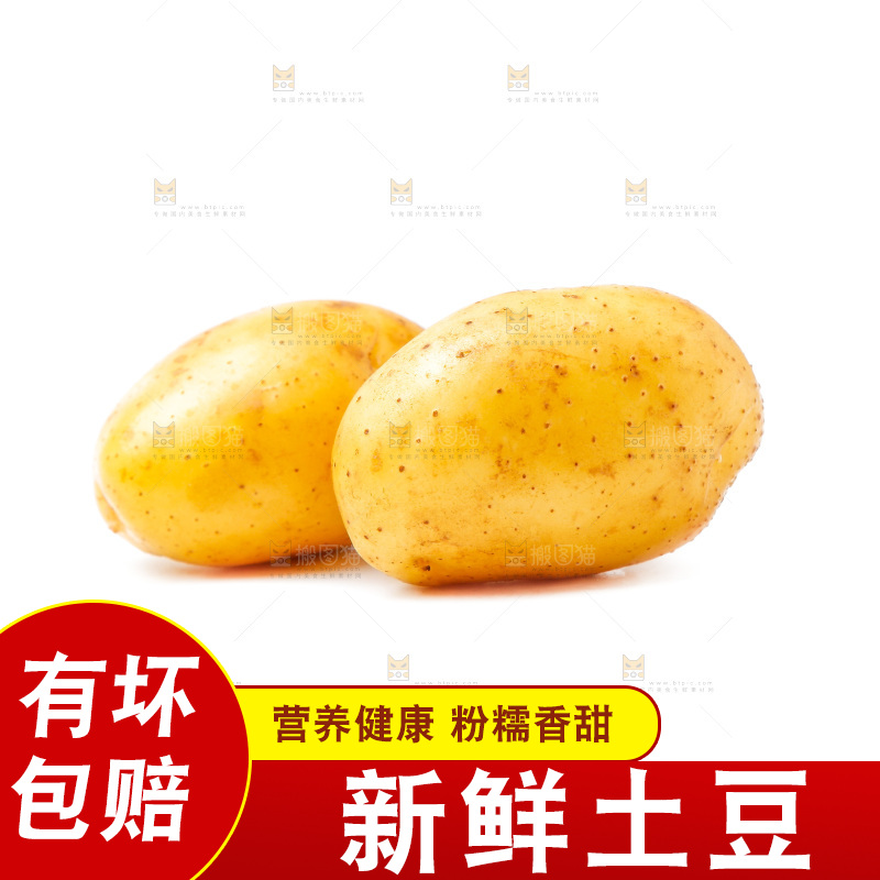 黄心土豆放在白底上