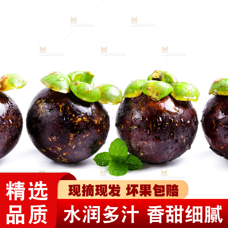 白底上的山竹