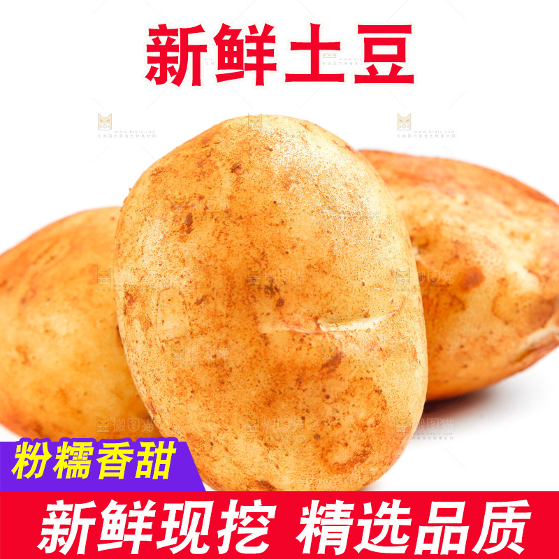 白底上的土豆