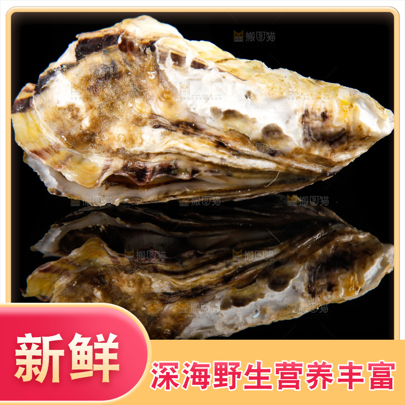 黑底上放着海蛎子