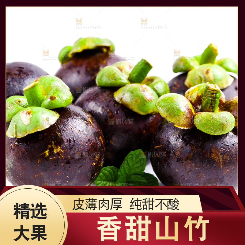 新鲜山竹放在白底上