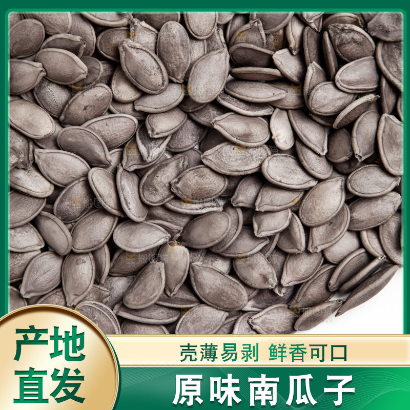 黑南瓜子放在白底上