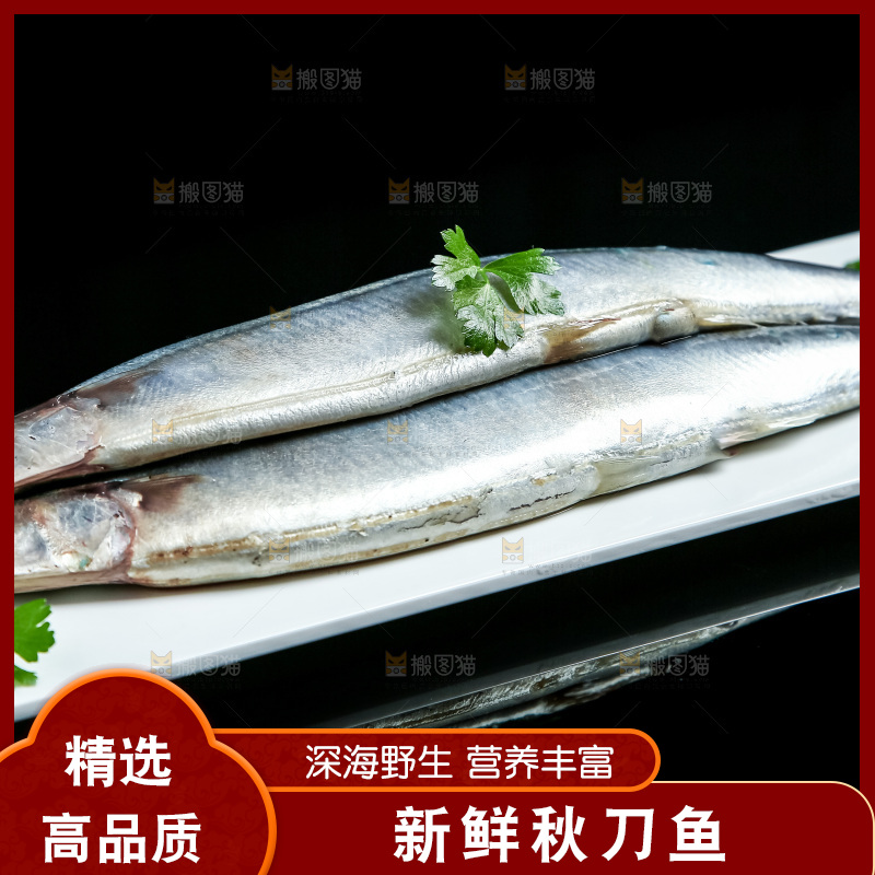 黑底上放着一盘秋刀鱼