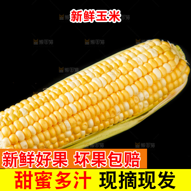 黑底上的水果玉米