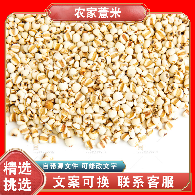 新鲜薏米放在白底上