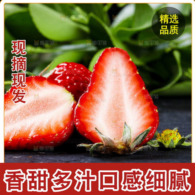 丹东草莓放在深底上