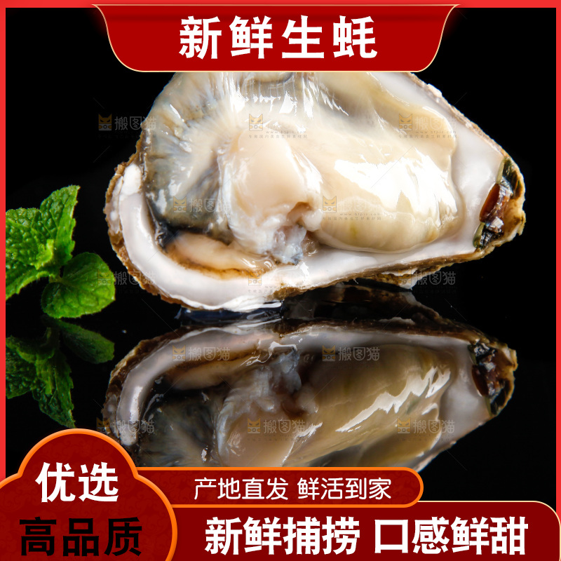 黑底上放着海蛎子