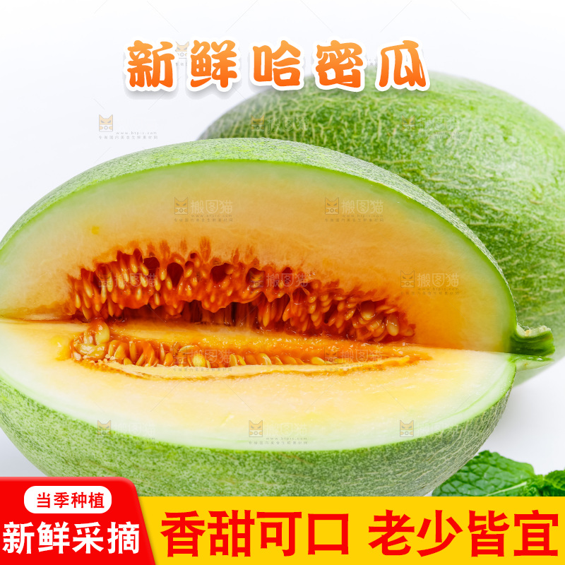 白底上的哈密瓜