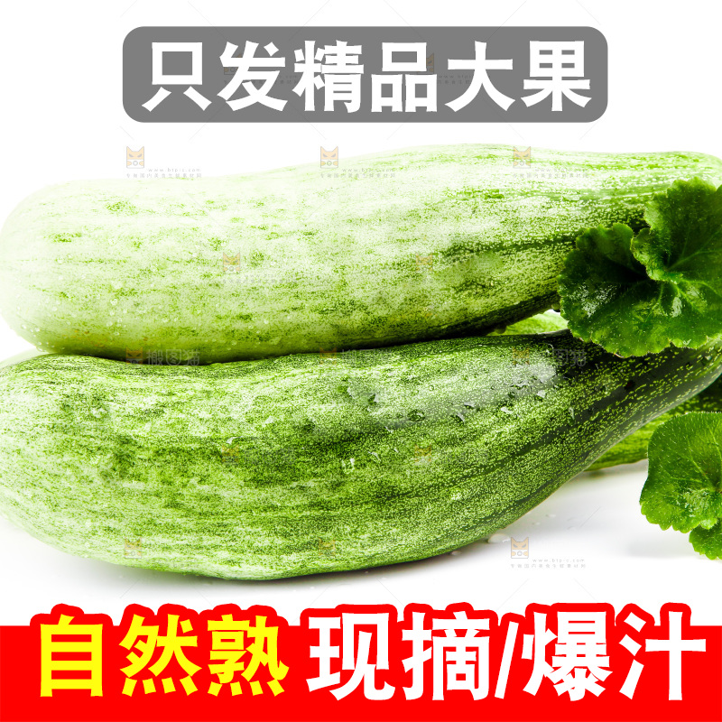 白底上的山东羊角蜜甜瓜