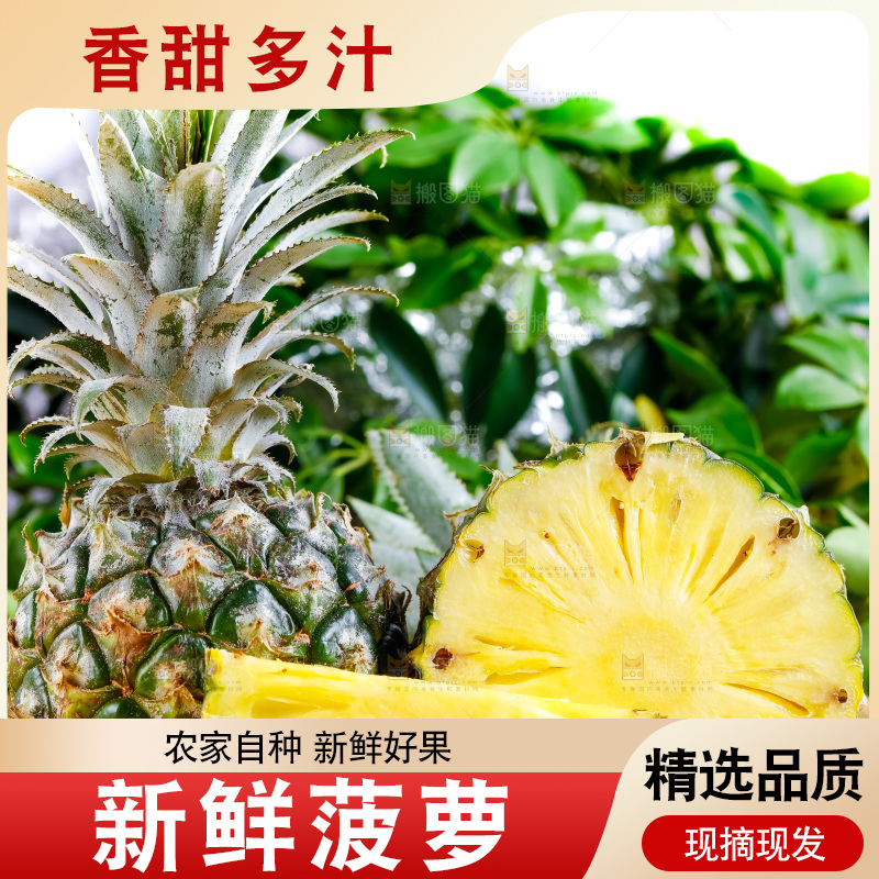 云南香水小菠萝放在白底上