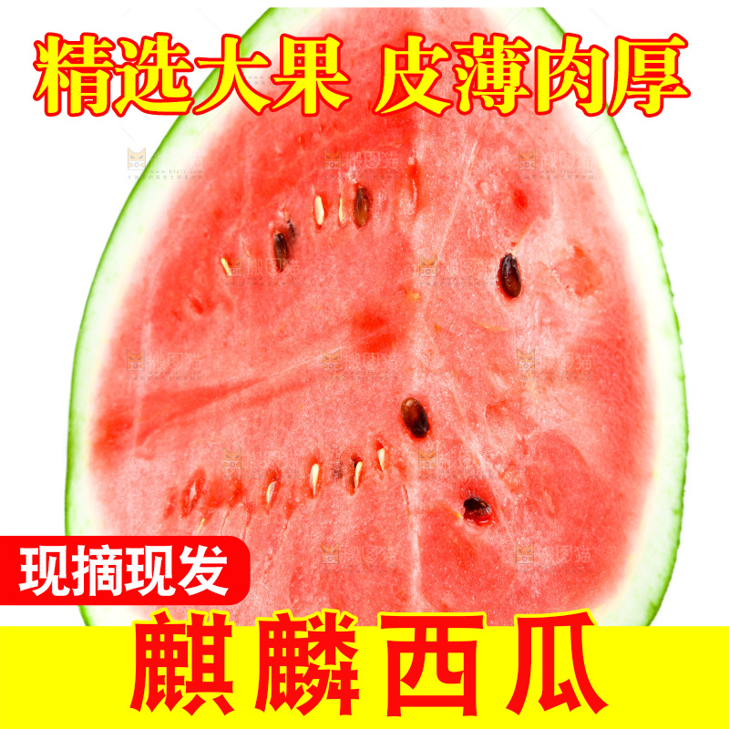 切开的麒麟西瓜放在白底上