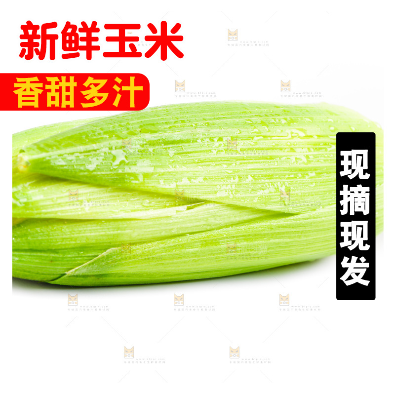 白底上的玉米