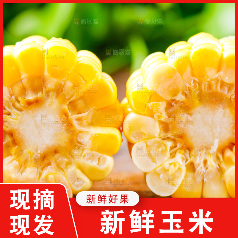 云南水果甜玉米放在木底上