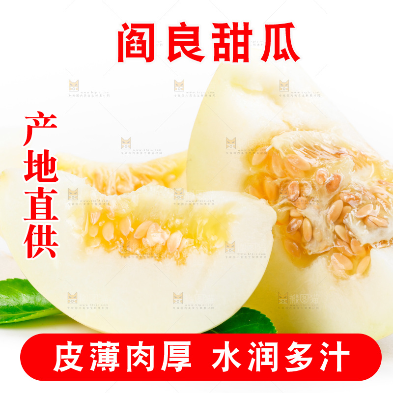 白底上的阎良甜瓜