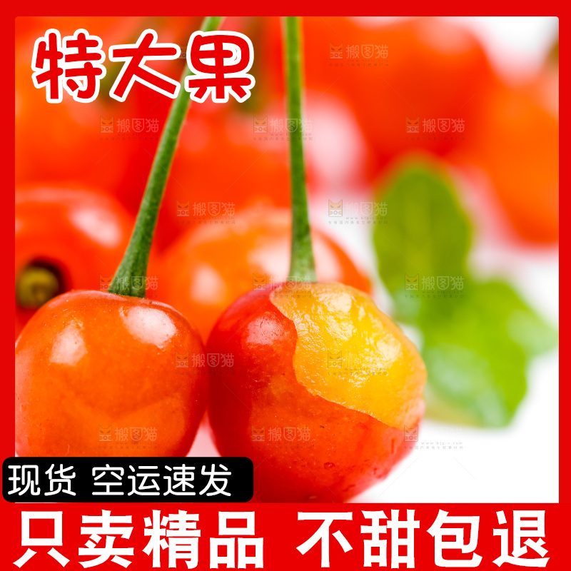 浅底上的新鲜樱桃