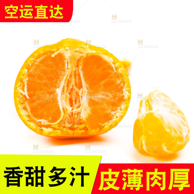 新鲜橘子放在白底上
