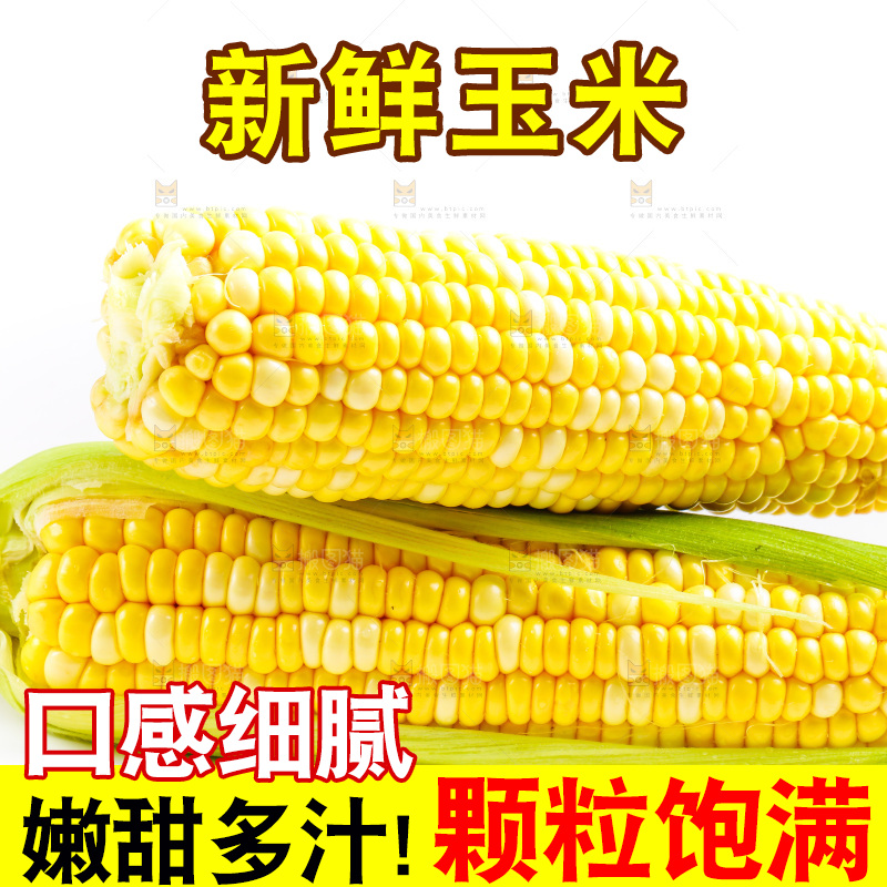 白底上放着甜玉米
