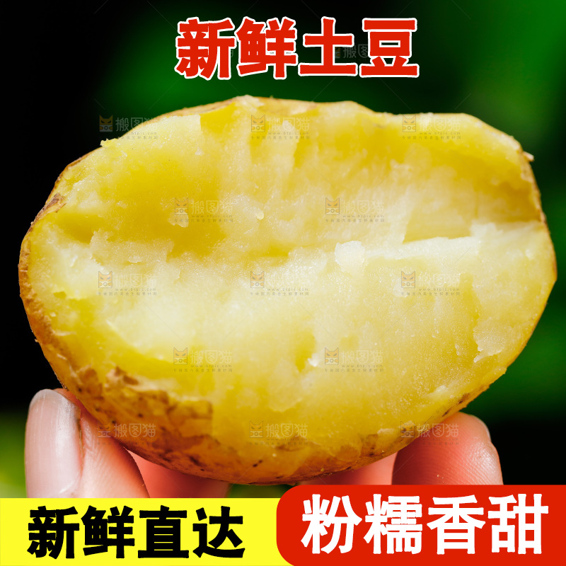 手拿黄心土豆