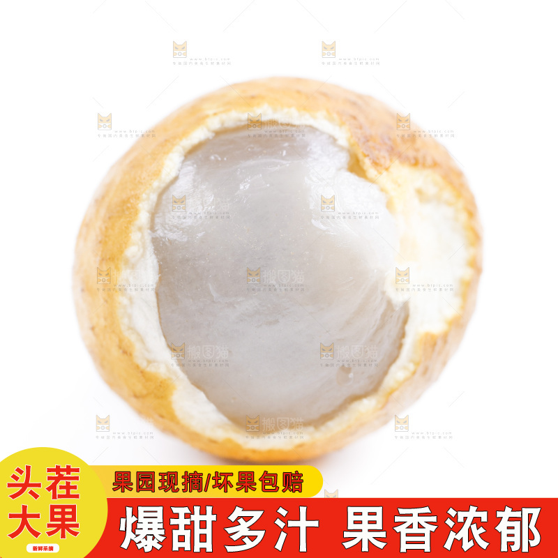 新鲜龙眼放在白底上