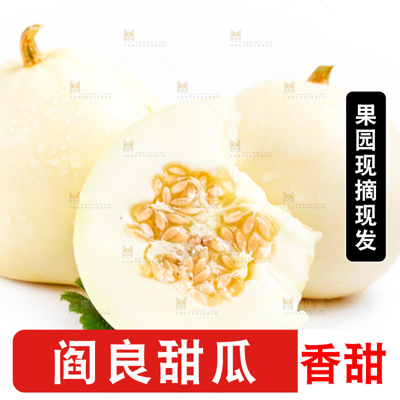 新鲜阎良甜瓜放在白底上