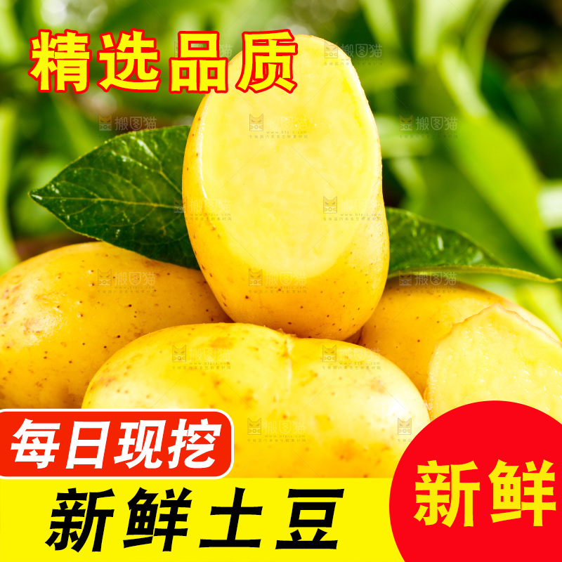 浅底上放着切开的黄心土豆