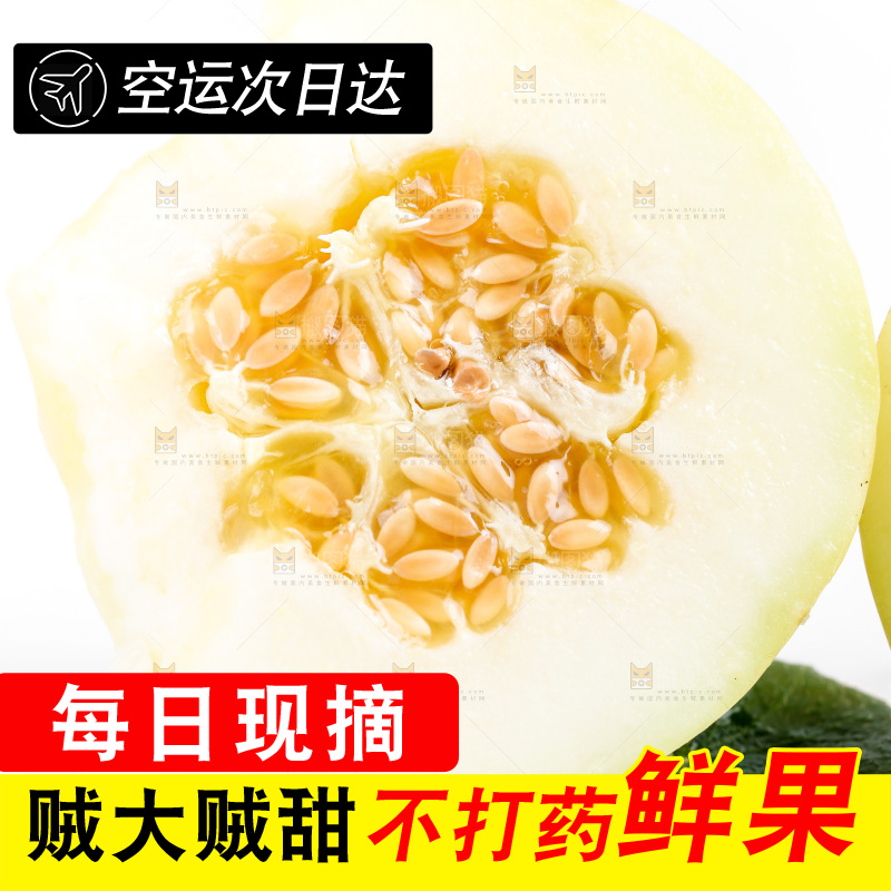 白底上的阎良甜瓜