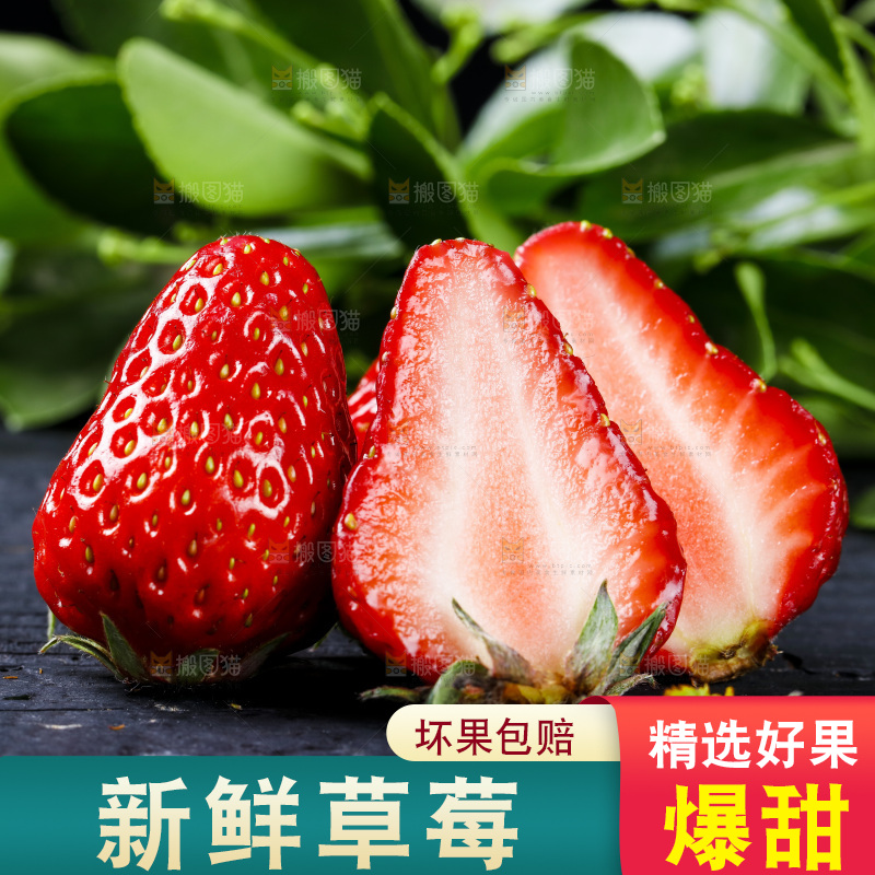 丹东草莓放在深底上