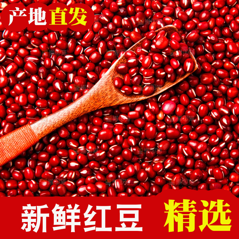 东北红小豆放在白底上