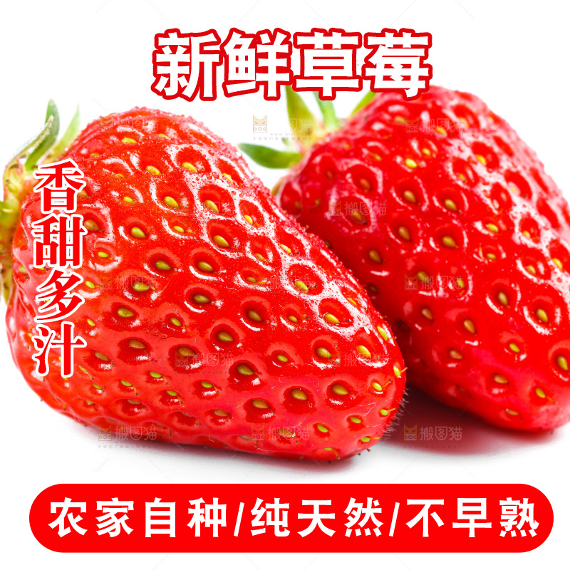 白底上放着99草莓