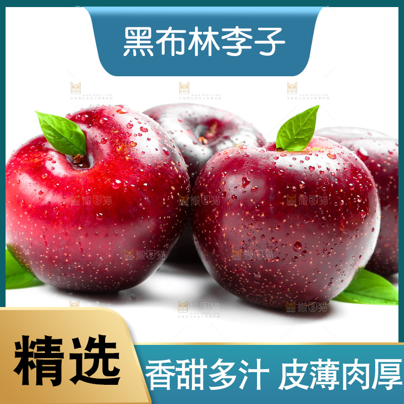 陕西黑布林放在白底上