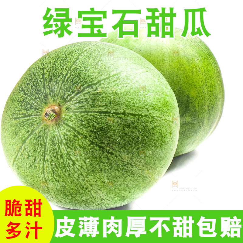 白底上放着山东绿宝甜瓜