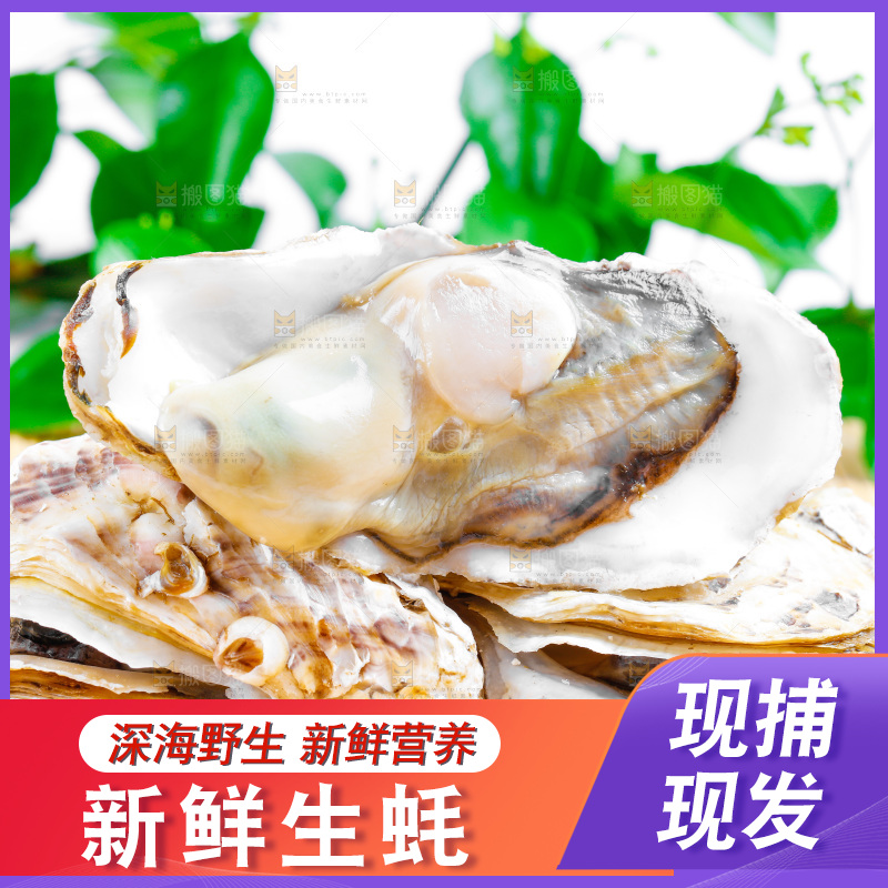 木底上放着乳山生蚝