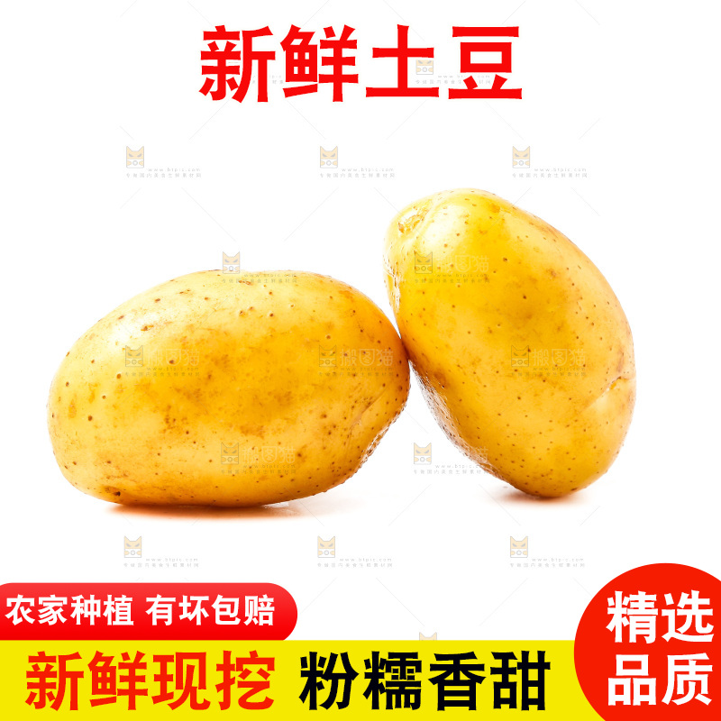 黄心土豆放在白底上