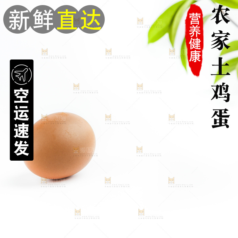 白底上的新鲜鸡蛋
