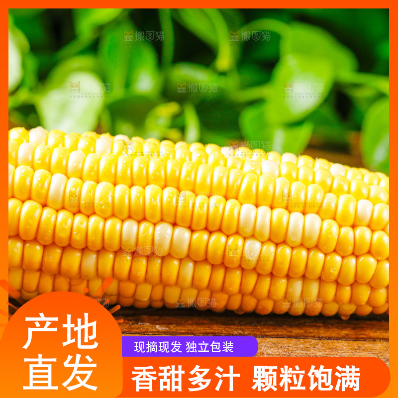 木底上的新鲜玉米