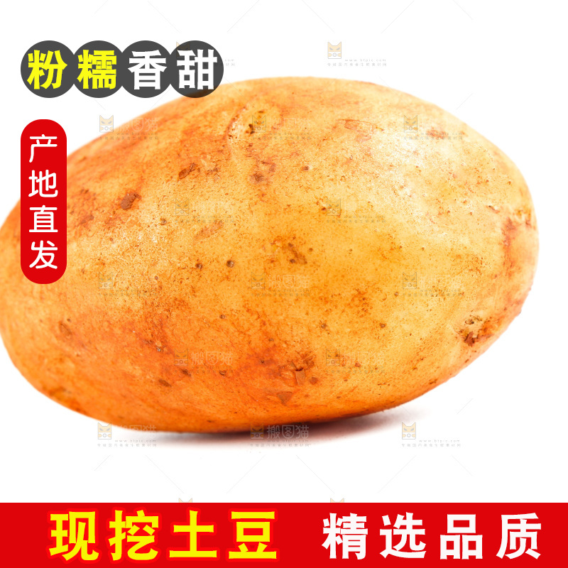 白底上的土豆