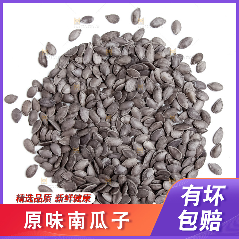 黑南瓜子放在白底上
