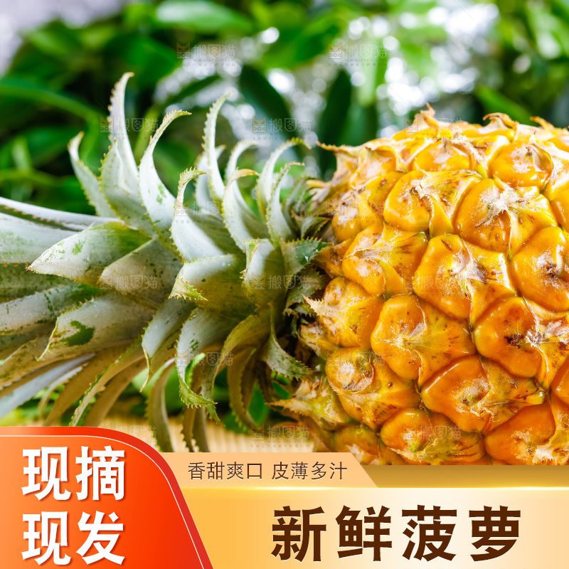 木底上放着香水小菠萝